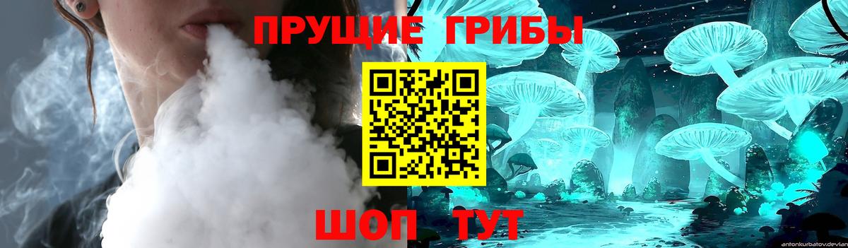 Псилоцибиновые грибы Psilocybine cubensis Санкт-Петербург